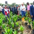 A’ Ibom Govt Resumes Management Of Dakkada Global Oil Palm Farm